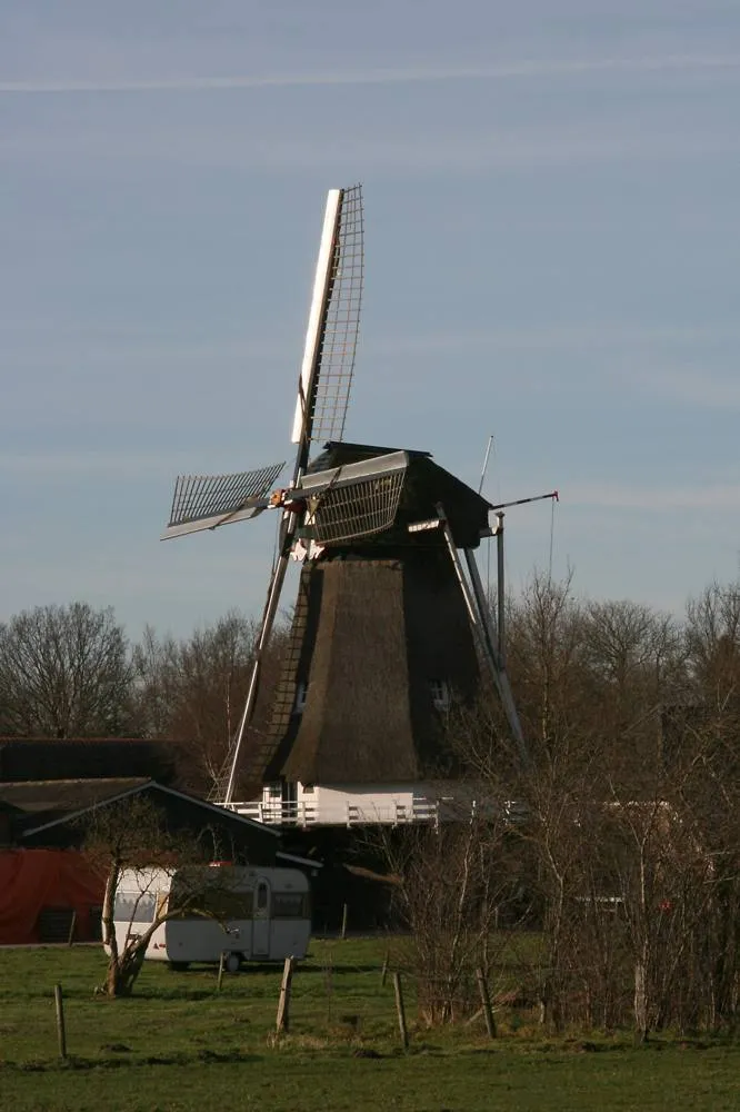 Wachtum: Wachtum De Hoop