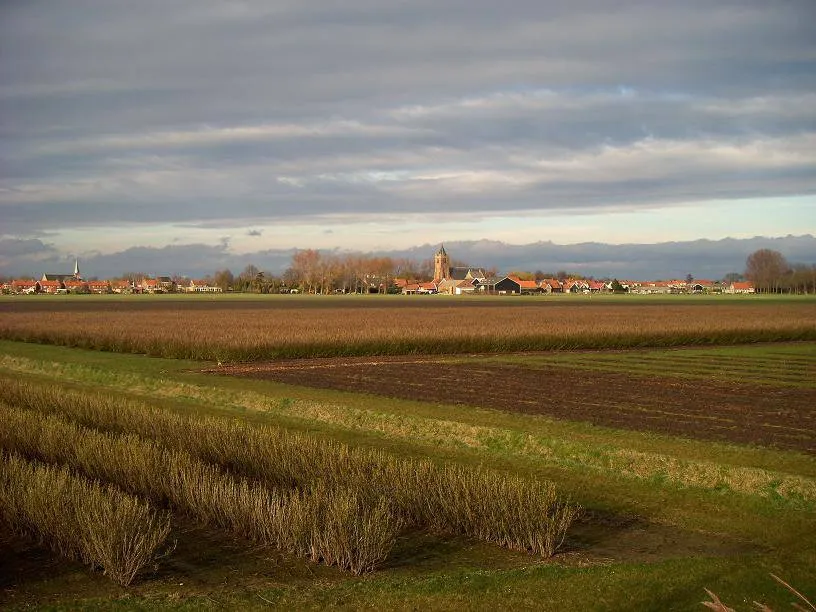 Baarland: Baarland