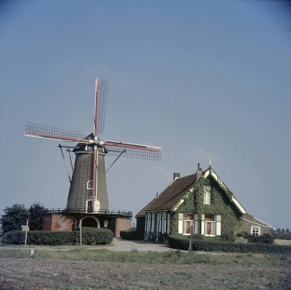 Sint-Maartensdijk: Overzicht met ernaast gelegen woning, in 1997 zijn de wieken tot 0,5m afgezaagd - Sint Maartensdijk - 20367731 - RCE